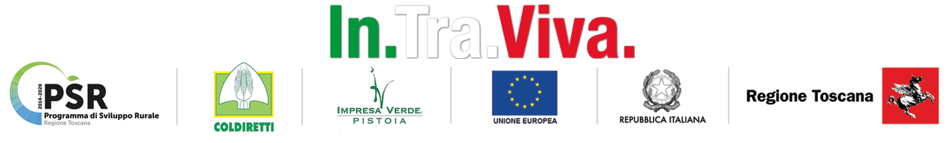 IN.TRA.VIVA Logo